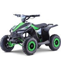 Quad E-STAR vehicle Green