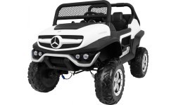 Mercedes BENZ UNIMOG