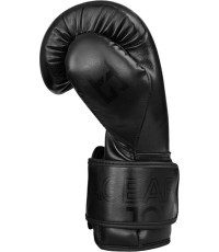 Joya Evolution Kickboxing gloves black