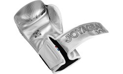 Joya Evolution Kickboxing gloves silver