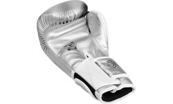 Joya Evolution Kickboxing gloves silver