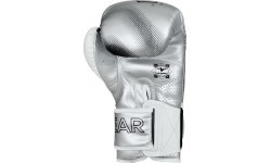 Joya Evolution Kickboxing gloves silver