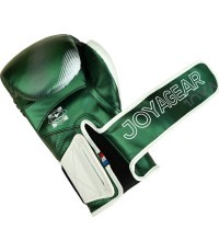 Joya Evolution Kickboxing gloves green