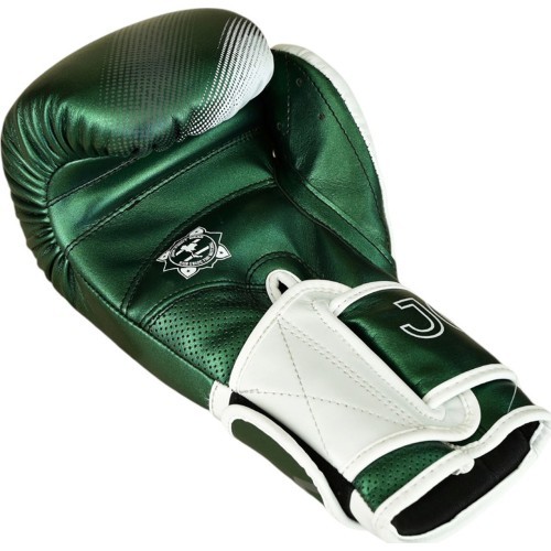Joya Evolution Kickboxing gloves green