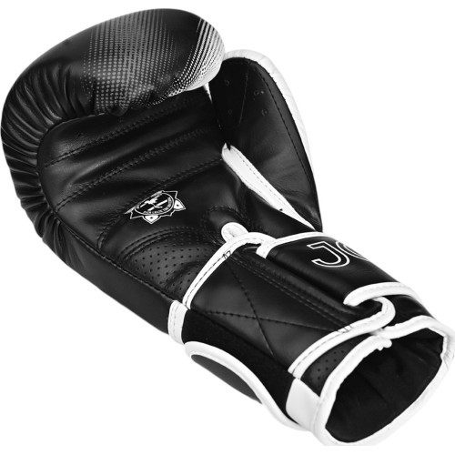 Joya Evolution Kickboxing gloves black-white