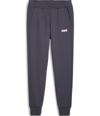 Спортивные брюки мужские Puma Ess+ 2 Col Logo фиолетовые 586767 69