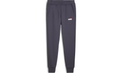 Puma Sportinės Kelnės Vyrams Ess+ 2 Col Logo Purple 586767 69