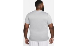 Мужская футболка Nike M Nk Df Te Rlgd Reset Gray DX0989 063
