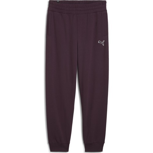 Puma Ess Elevated Sweatpants FL женские спортивные брюки 676805 44