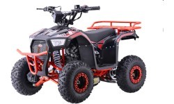 Квадроцикл бензиновый 110CC Explorer, красный