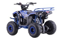Quad Bike Petrol 110CC EXPLORER Blue