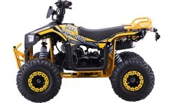 Квадроцикл бензиновый 110CC EXPLORER, жёлтый