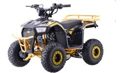 Квадроцикл бензиновый 110CC EXPLORER, жёлтый
