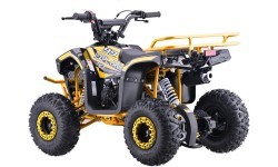 Keturratis benzininis 110CC EXPLORER, geltonas