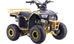 Keturratis benzininis 110CC EXPLORER, geltonas