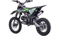 Vehicle Internal Combustion Engine 110CM IMMORTAL Green