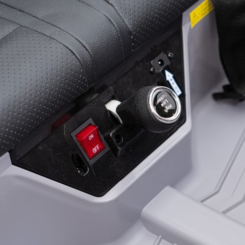 Vehicle Buggy Racing 5 Grey