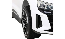 Elektromobilis Audi RS E-Tron GT, baltas