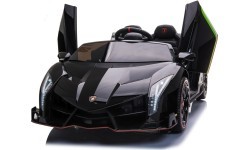 Vehicle Lamborghini Veneno Black