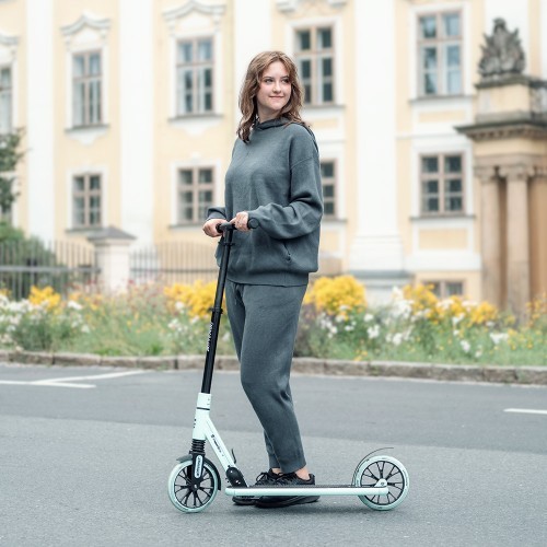 Paspirtukas inSPORTline Wayomint