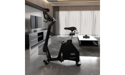Exercise Bike inSPORTline ZenBike 300