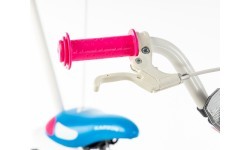 Dviratis Karbon Mimi 14 pink-blue