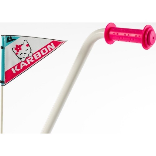 Dviratis Karbon Mimi 14 pink-blue