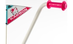 Dviratis Karbon Mimi 14 pink-blue