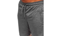 Мужские шорты J.Style Grey 8K1551-5
