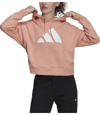 Adidas Džemperis Moterims W Fi 3B Hoodie Peach H24082