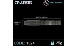 Winmau Callisto 2 90% tungsten steel tip darts