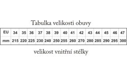 Коньки для девочек Worker Lady