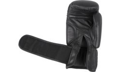 Боксёрские перчатки Spartan Top Ten, 12 oz