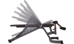 Daugiafunkcis suoliukas inSPORTline Profi Sit Up Bench