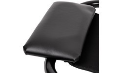 Pilvo preso treniruoklis Insportline AB Shaper