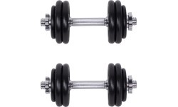 Štangos ir hantelių rinkinys su dėklu inSPORTline 50 kg