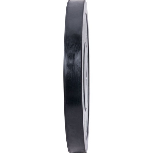 Резиновый диск для штанги inSPORTline Bumper Plate 25 кг