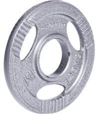 Olimpinis plieninis svoris inSPORTline Hamerton 1,25 kg