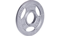 Olimpinis plieninis svoris inSPORTline Hamerton 1,25 kg