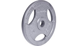 Olimpinis plieninis svoris inSPORTline Hamerton 15 kg
