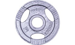 Steel weight for gripper 30mm inSPORTline Hamerton 1.25kg