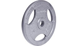 Ketaus svoris 30 mm inSPORTline Hamerton 15 kg