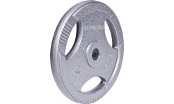 Plieninis svoris gripui 30mm inSPORTline Hamerton 25kg