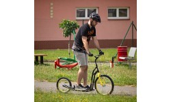 Kick Scooter inSPORTline Disparo V-Brake