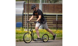 Paspirtukas inSPORTline Disparo V-Brake
