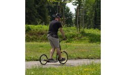 Kick Scooter inSPORTline Disparo V-Brake