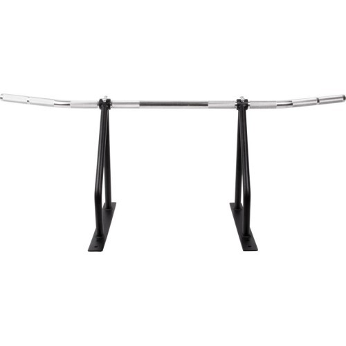 Wall-Mounted Pull-Up Bar inSPORTline LCR-1116