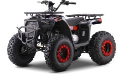 Quad Bike Petrol 200CC MONSTER Red