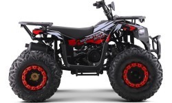 Квадроцикл бензиновый 200CC Monster, красный
