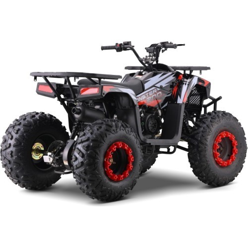 Quad Bike Petrol 200CC MONSTER Red